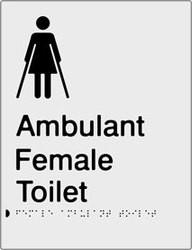 Female Ambulant Toilet - Anodised Aluminium