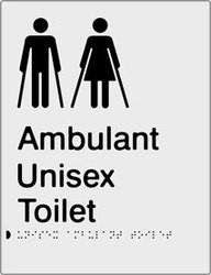 Unisex Ambulant Toilet - Anodised Aluminium